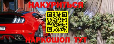 a pvp Усть-Илимск