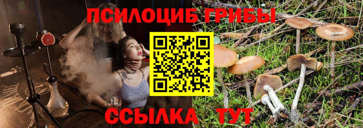 Галлюциногенные грибы ЛСД Ахтубинск