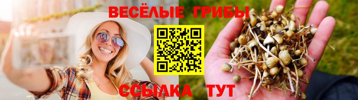 Ахтубинск  Галлюциногенные грибы мицелий  как найти наркотики  Вход с VPN 